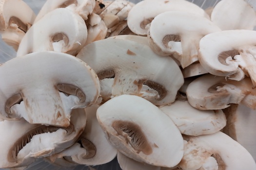 champignons